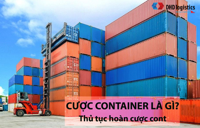 Cược cont là gì