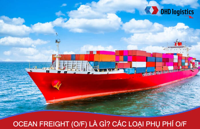Ocean Freight trong xuất nhập khẩu