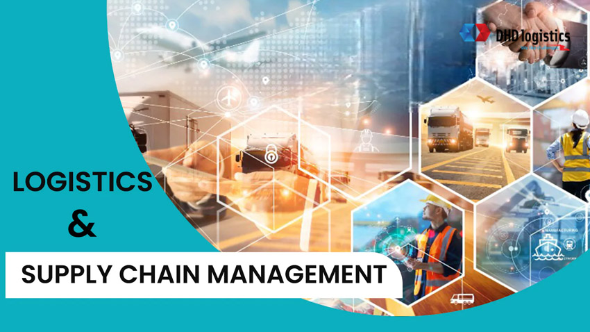 Học ngành Logistics và quản lý chuỗi cung ứng