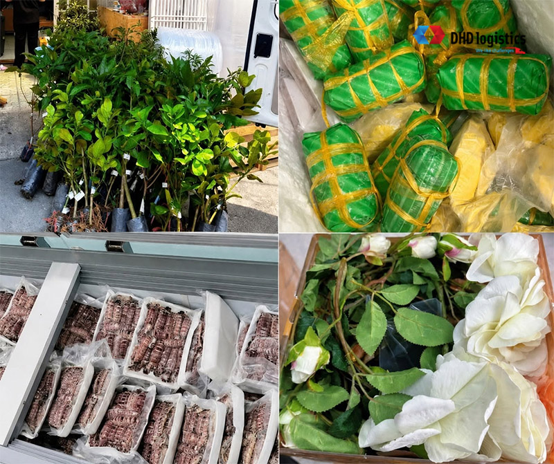 Gửi các mặt hàng đi Mỹ từ Kiên Giang